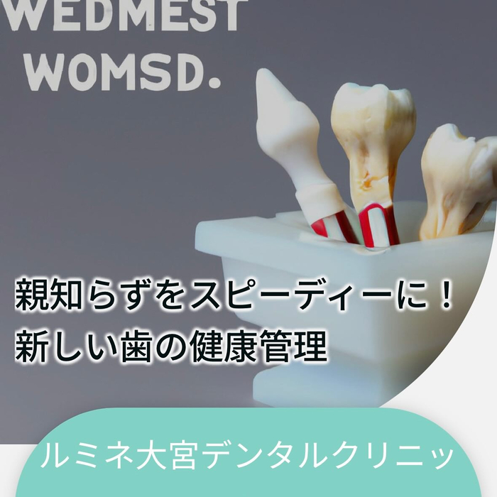 画像251